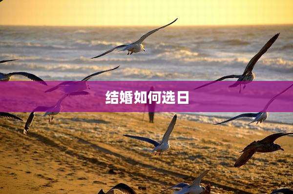 结婚如何选日