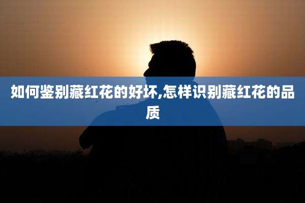 如何鉴别藏红花的好坏,怎样识别藏红花的品质