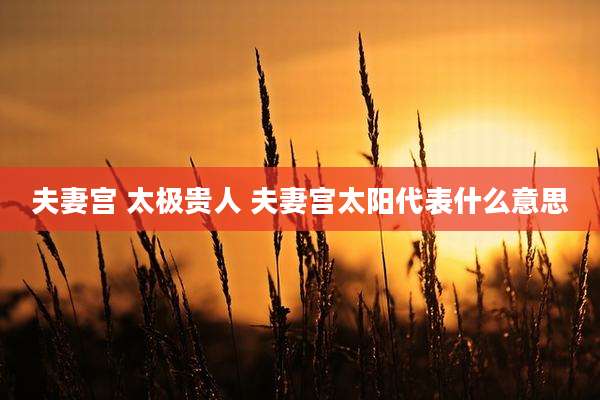 夫妻宫 太极贵人 夫妻宫太阳代表什么意思