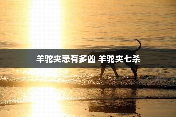 羊驼夹忌有多凶 羊驼夹七杀