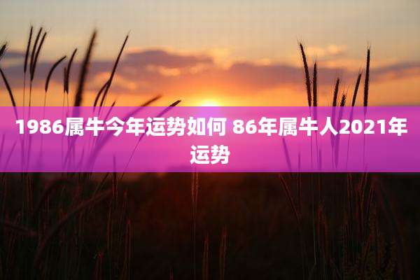 1986属牛今年运势如何 86年属牛人2021年运势