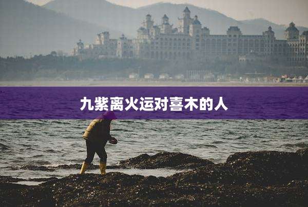 九紫离火运对喜木的人