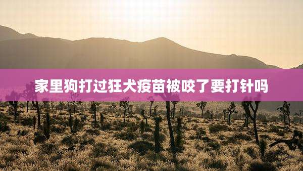 家里狗打过狂犬疫苗被咬了要打针吗