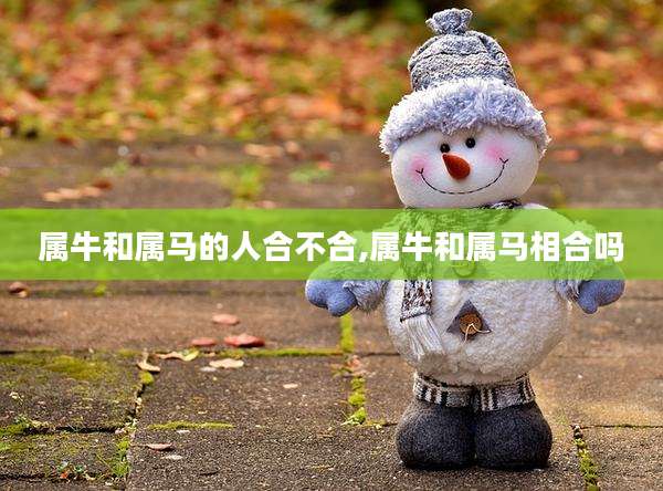 属牛和属马的人合不合,属牛和属马相合吗