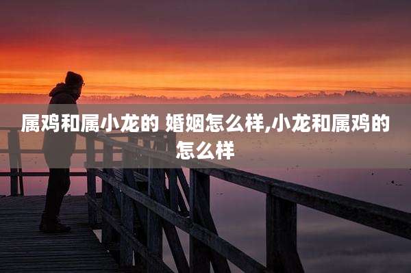 属鸡和属小龙的 婚姻怎么样,小龙和属鸡的怎么样