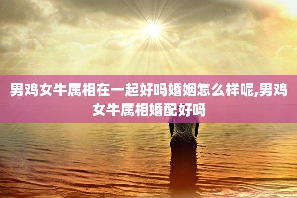 男鸡女牛属相在一起好吗婚姻怎么样呢,男鸡女牛属相婚配好吗