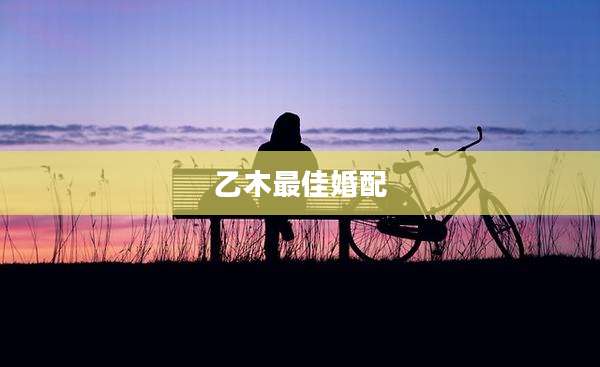 乙木最佳婚配