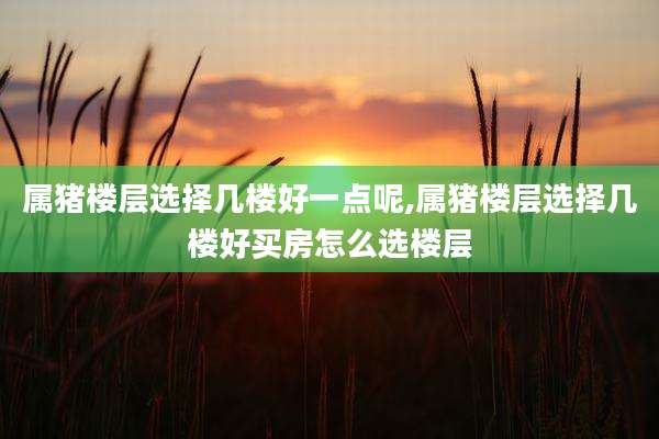属猪楼层选择几楼好一点呢,属猪楼层选择几楼好买房怎么选楼层