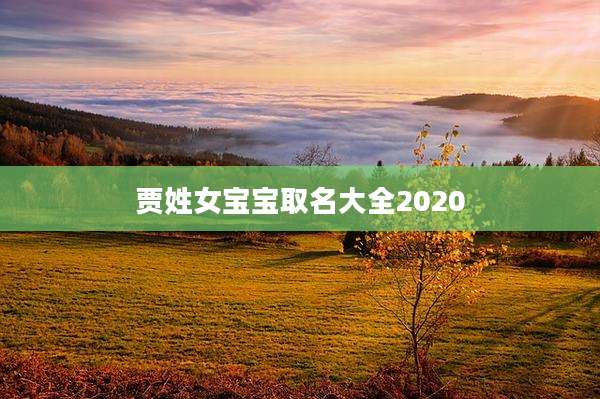 贾姓女宝宝取名大全2020