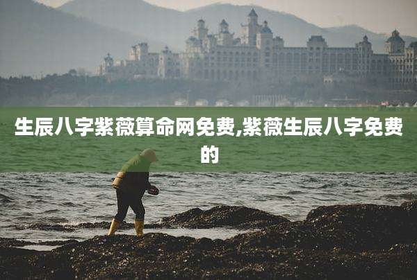 生辰八字紫薇算命网免费,紫薇生辰八字免费的
