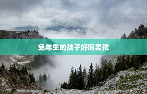 兔年生的孩子好吗男孩