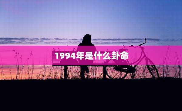 1994年是什么卦命