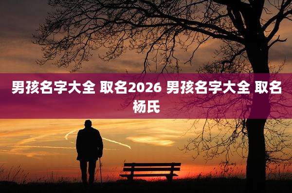 男孩名字大全 取名2026 男孩名字大全 取名杨氏