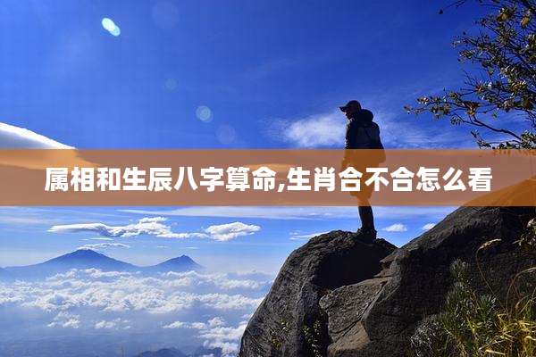 属相和生辰八字算命,生肖合不合怎么看