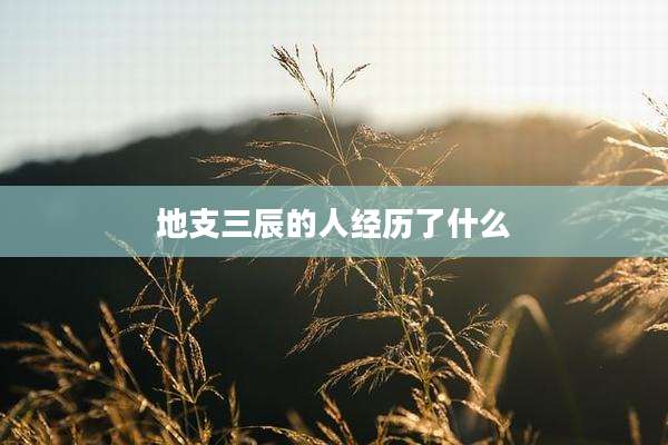 地支三辰的人经历了什么