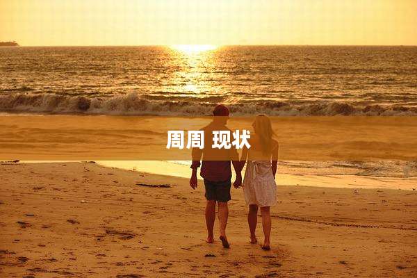 周周 现状