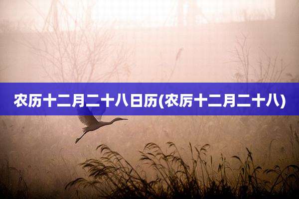 农历十二月二十八日历(农厉十二月二十八)