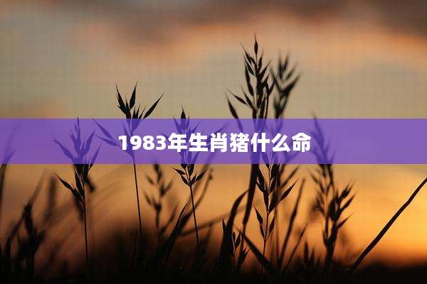1983年生肖猪什么命