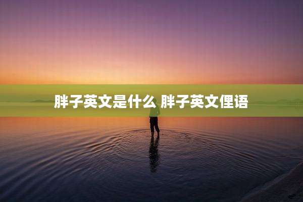 胖子英文是什么 胖子英文俚语