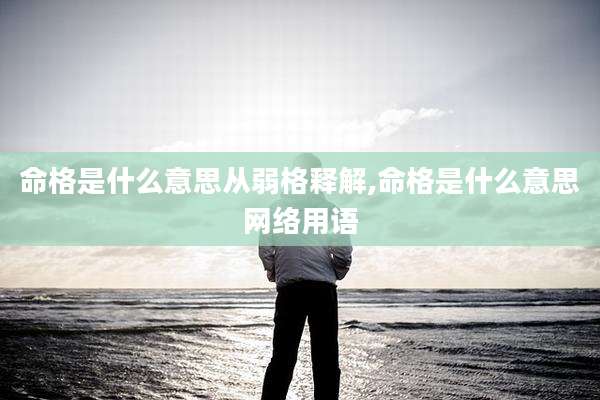 命格是什么意思从弱格释解,命格是什么意思网络用语