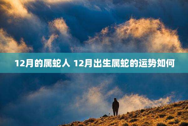 12月的属蛇人 12月出生属蛇的运势如何