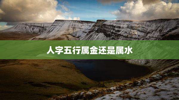 人字五行属金还是属水