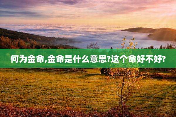 何为金命,金命是什么意思?这个命好不好?