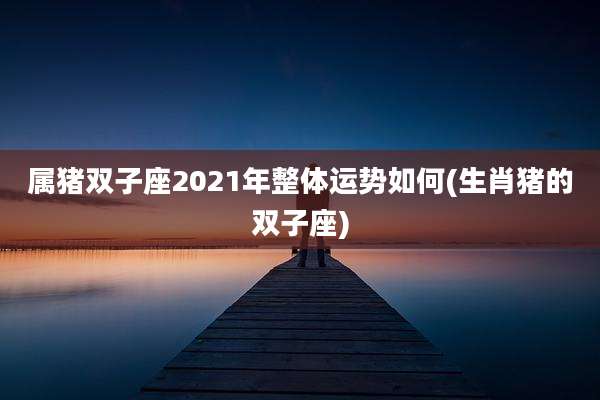 属猪双子座2021年整体运势如何(生肖猪的双子座)