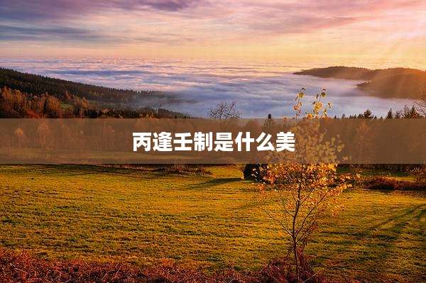 丙逢壬制是什么美