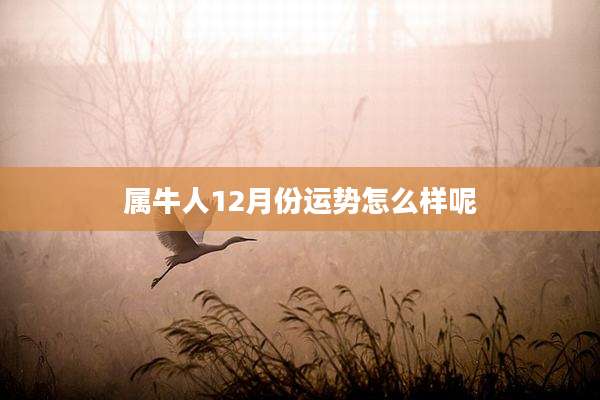 属牛人12月份运势怎么样呢