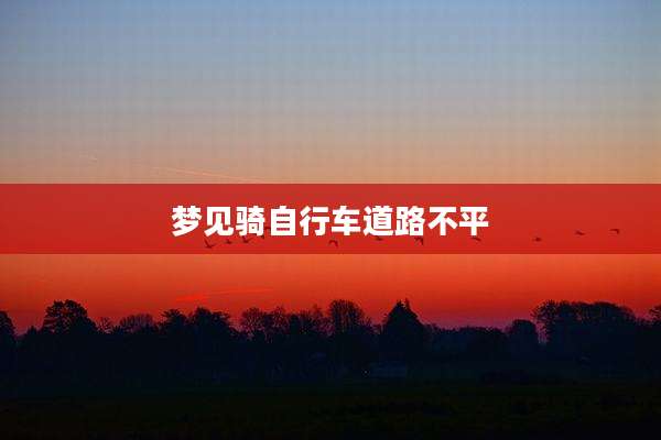 梦见骑自行车道路不平