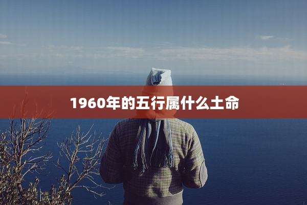 1960年的五行属什么土命