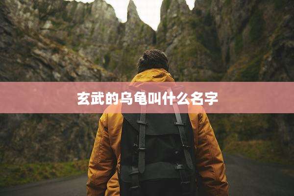 玄武的乌龟叫什么名字