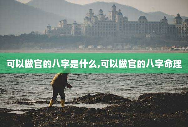 可以做官的八字是什么,可以做官的八字命理