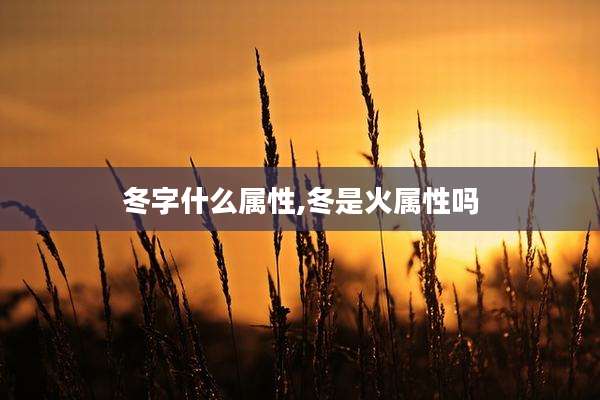 冬字什么属性,冬是火属性吗