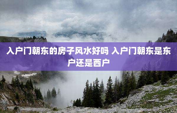 入户门朝东的房子风水好吗 入户门朝东是东户还是西户