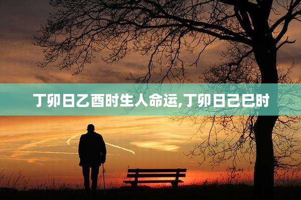 丁卯日乙酉时生人命运,丁卯日己巳时