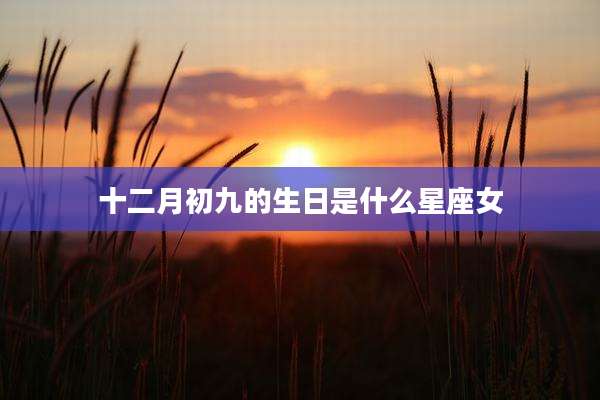 十二月初九的生日是什么星座女