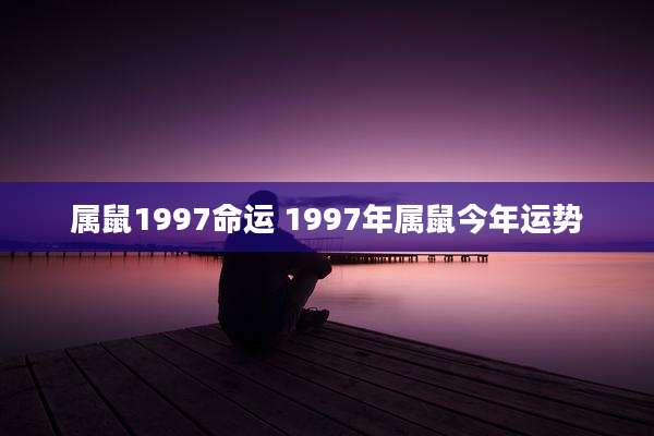 属鼠1997命运 1997年属鼠今年运势