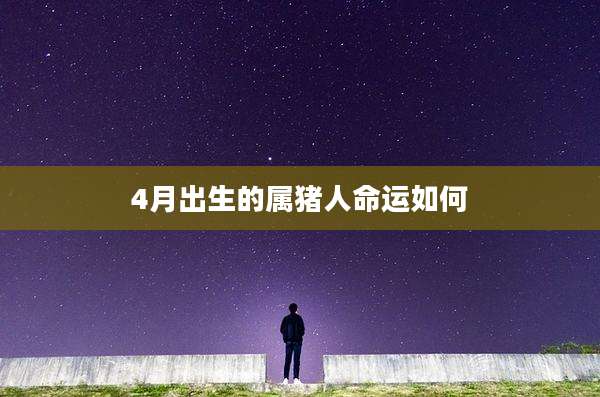 4月出生的属猪人命运如何
