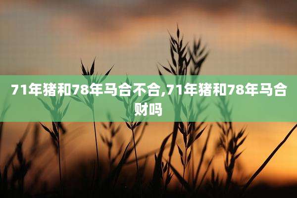 71年猪和78年马合不合,71年猪和78年马合财吗