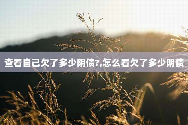 查看自己欠了多少阴债?,怎么看欠了多少阴债