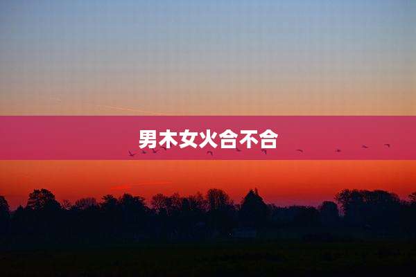 男木女火合不合