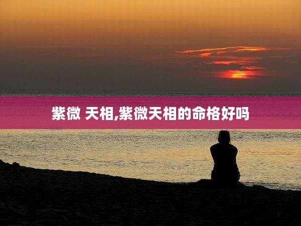 紫微 天相,紫微天相的命格好吗