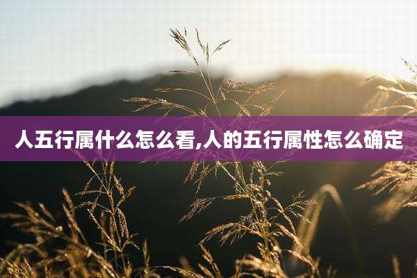 人五行属什么怎么看,人的五行属性怎么确定
