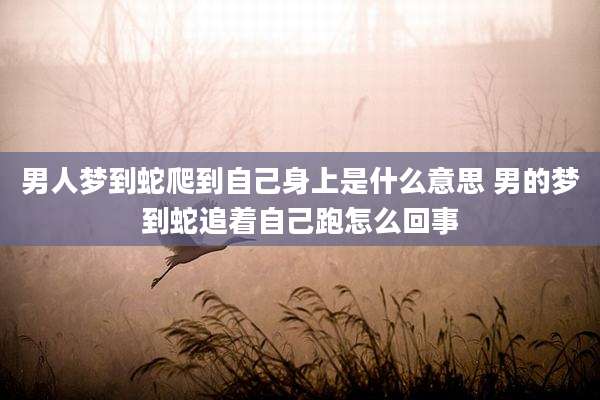男人梦到蛇爬到自己身上是什么意思 男的梦到蛇追着自己跑怎么回事