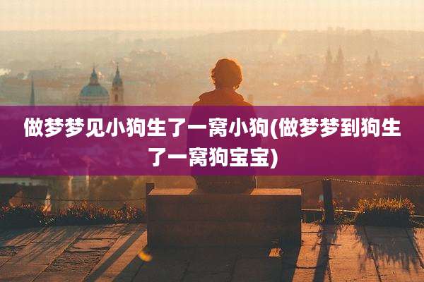 做梦梦见小狗生了一窝小狗(做梦梦到狗生了一窝狗宝宝)