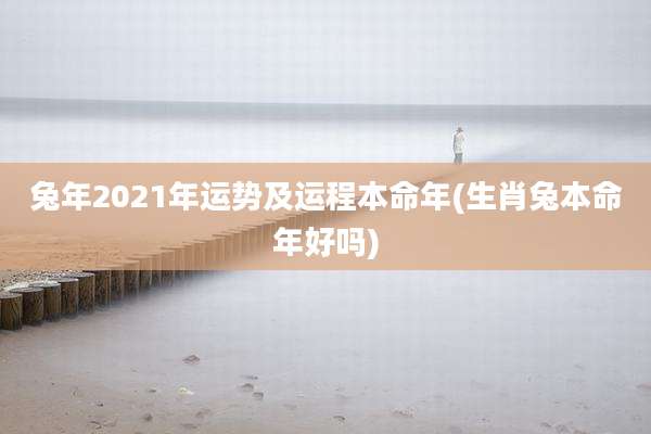 兔年2021年运势及运程本命年(生肖兔本命年好吗)