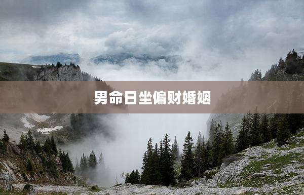 男命日坐偏财婚姻