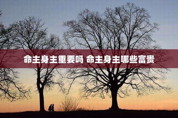 命主身主重要吗 命主身主哪些富贵